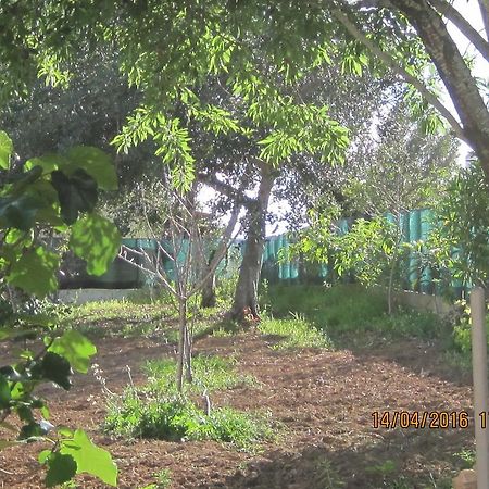 Quinta Da Fonte Em Moncarapacho Hotell Eksteriør bilde